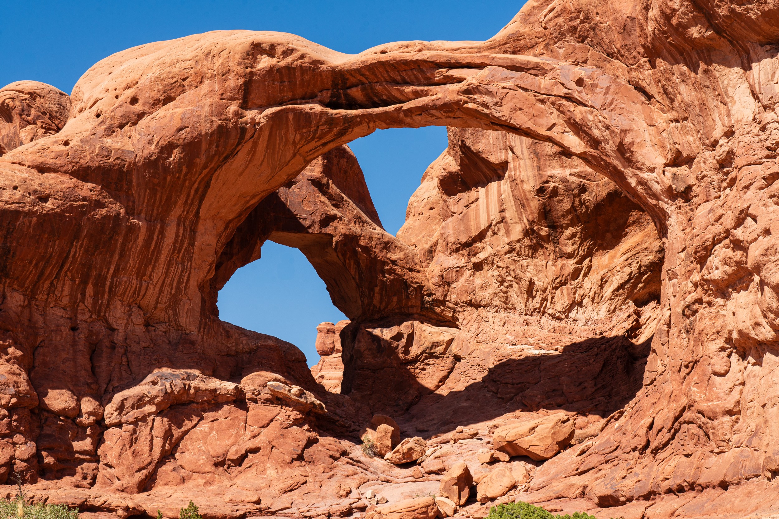 USA 2024 5 Sterne 121